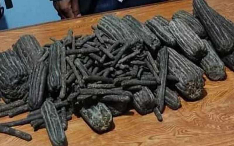 साढे ११ किलो चरेससहित बारा एक जना पक्राउ।