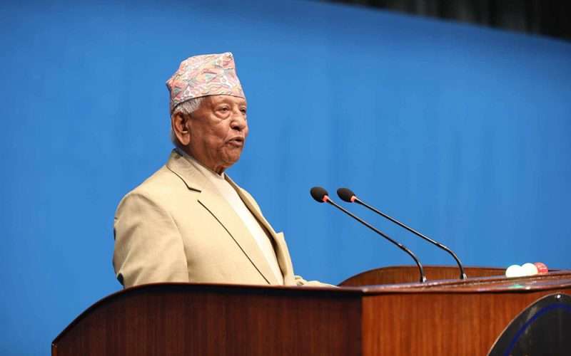 अर्जुननरसिंह केसीले गरे नीति तथा कार्यक्रमको आलोचना